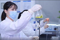 巾幗不讓須眉，她們獲省級巾幗文明崗榮譽